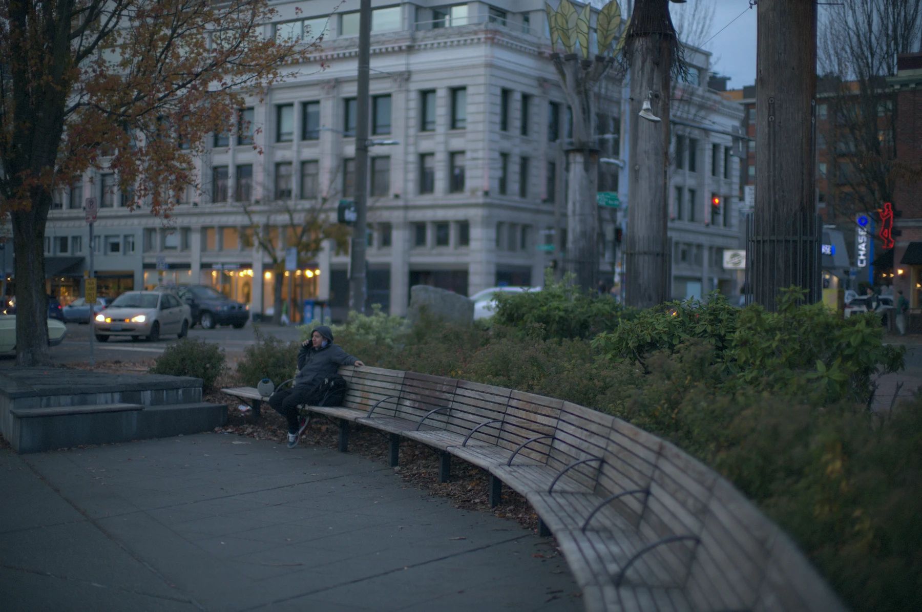 park bench photo, night city